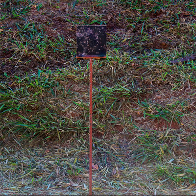 Alvo quadrado Shotgun